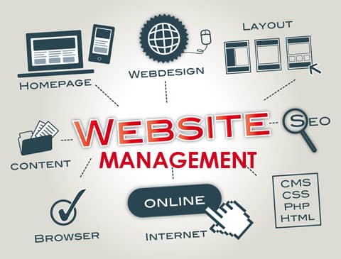 (Website Management)- 免費主機和免費網域對流量的差異